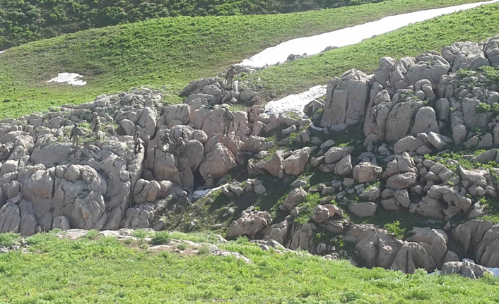 Şırnak'ta 'PKK kampı', 3 katlı mağara kullanılamaz hale getirildi