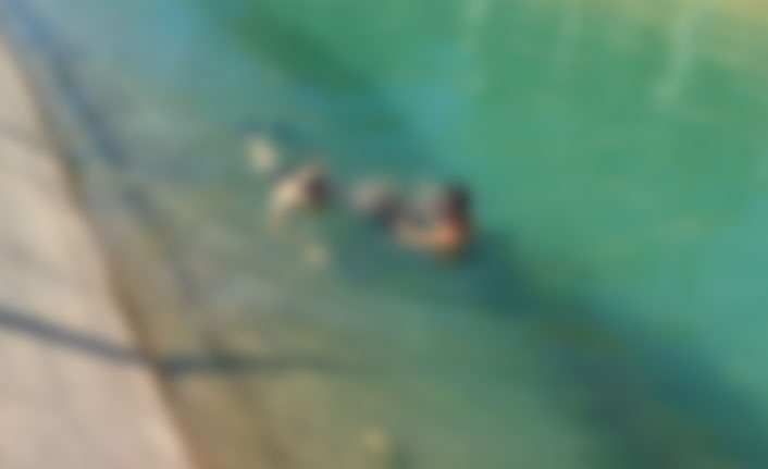 Sulama kanalına düşen iki kişi öldü!