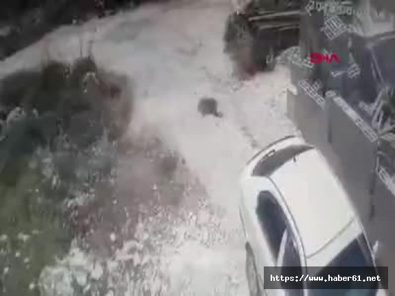 Maskeli israilli grup Filistinli ailenin evine saldırdı