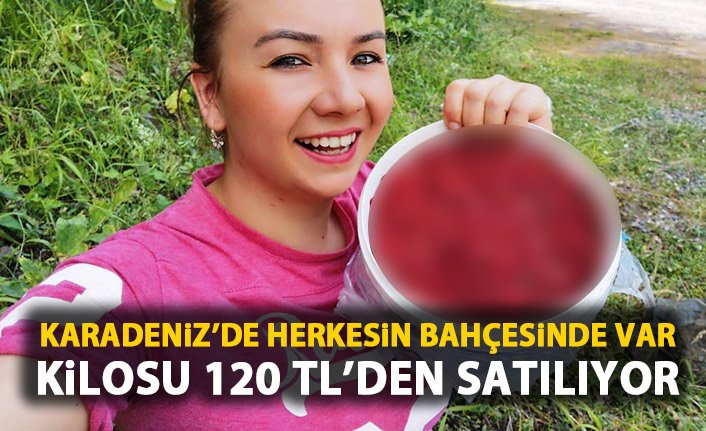 Karadeniz'de herkesin bahçesinde var! Kilosu 120 TL