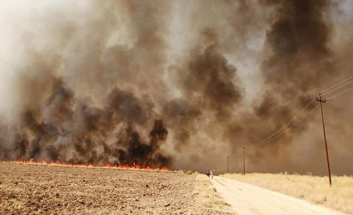 Irak'daki tarla yangınlarının sebebi belli oldu!