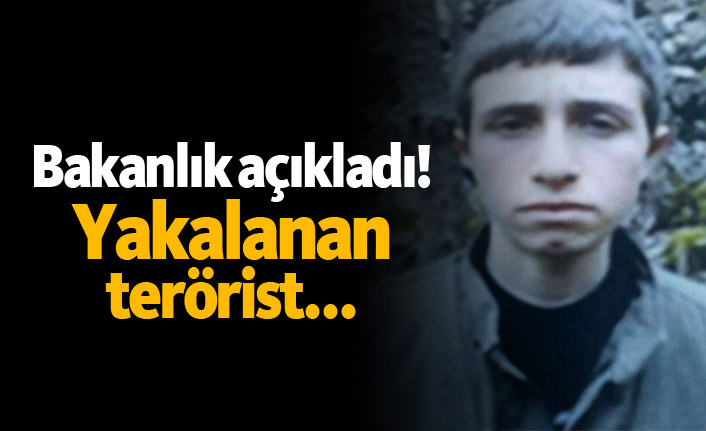 Bakanlık açıkladı! Yakalanan terörist...