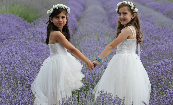 Edirne’de ‘lavanta’ mevsimi başladı