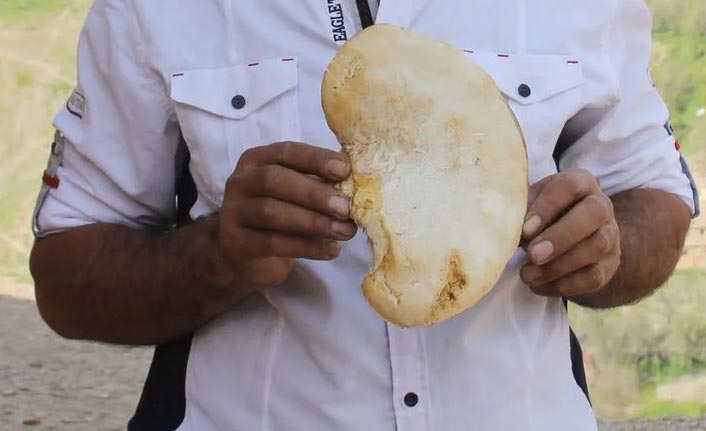 Kilosu etten pahalı, köylülerin geçim kaynağı oldu