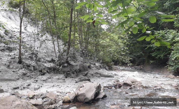 Trabzon'daki derelere atılan atıklar tepki topladı!