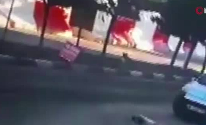 Köpek dehşeti! Çocuğa saldırdı...