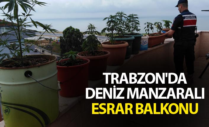 Trabzon'da deniz manzaralı esrar balkonu
