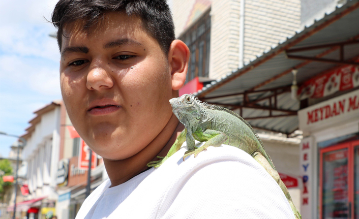 İguanayı papağan gibi omzunda gezdiriyor