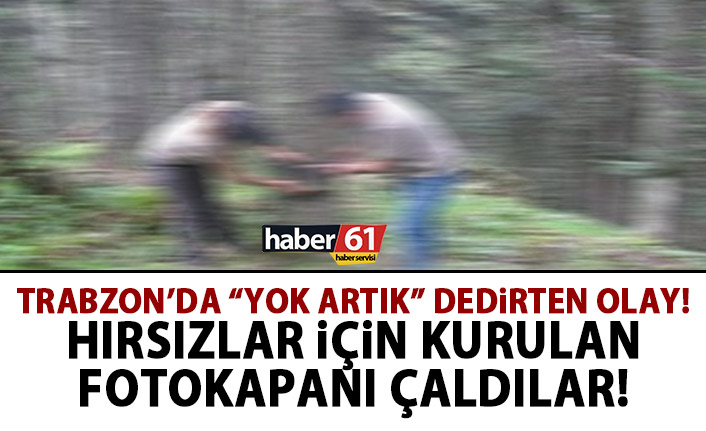Trabzon'da hırsızları yakalamak için kurulan fotokapanları çaldılar!