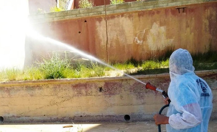 Bayburt'ta sivrisinek ve haşereyle mücadele ediyor