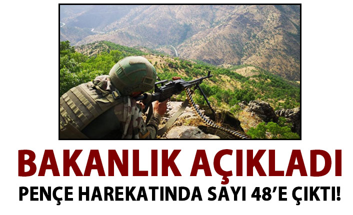 Bakanlık açıkladı! 48'i  etkisiz hale getirildi