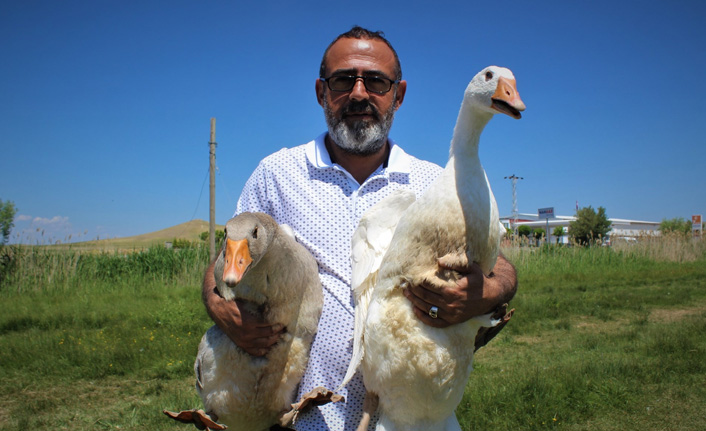 Ülke ekonomisine katkı sunmak için...