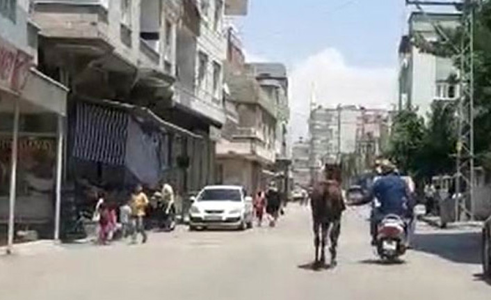 Gaziantep'te yürek sızlatan görüntü