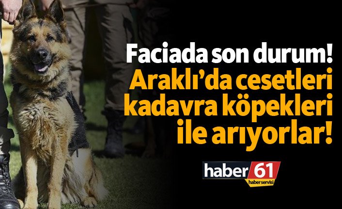 Araklı'da cesetleri kadavra köpekleri ile arıyorlar!