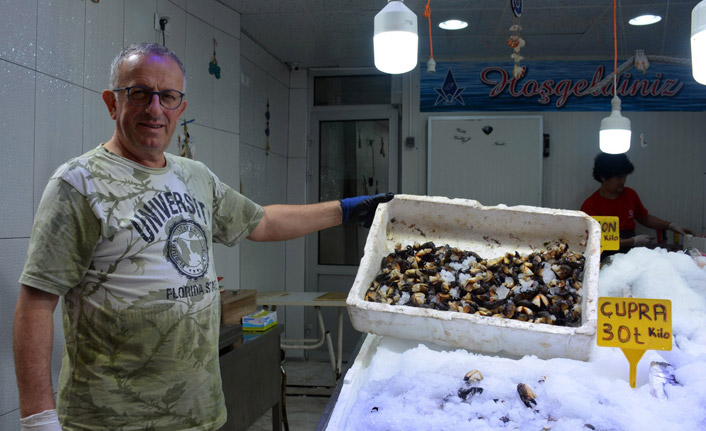 Karadeniz’de küflü sezonu