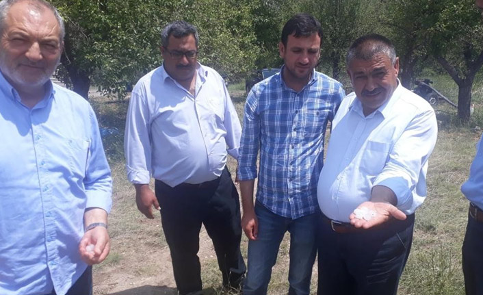 Dolu tarlaları yok etti!