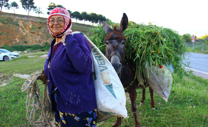 Ayşe Teyze’den gençlere nasihat; Sigortasız çalışmayın