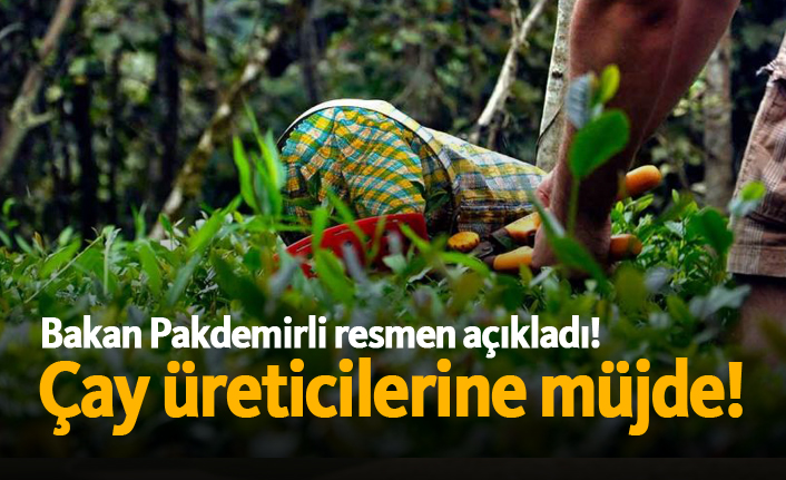 Çay üreticilerine müjde!