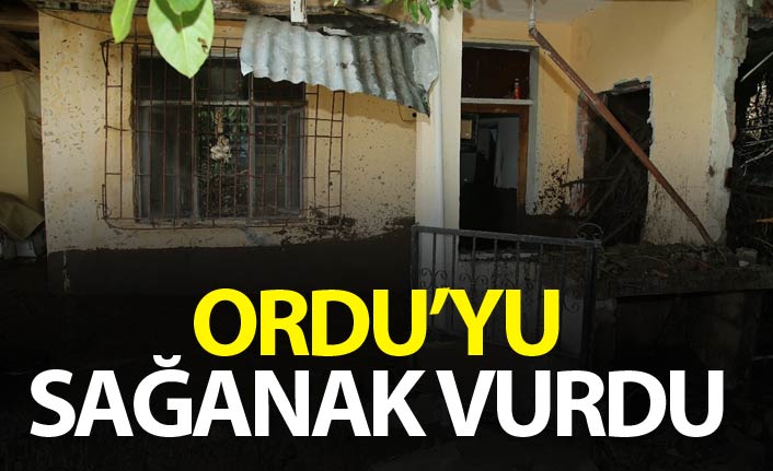 Ordu’da Aşırı Yağışlar Heyelan ve Su Baskınlarına Yol Açtı