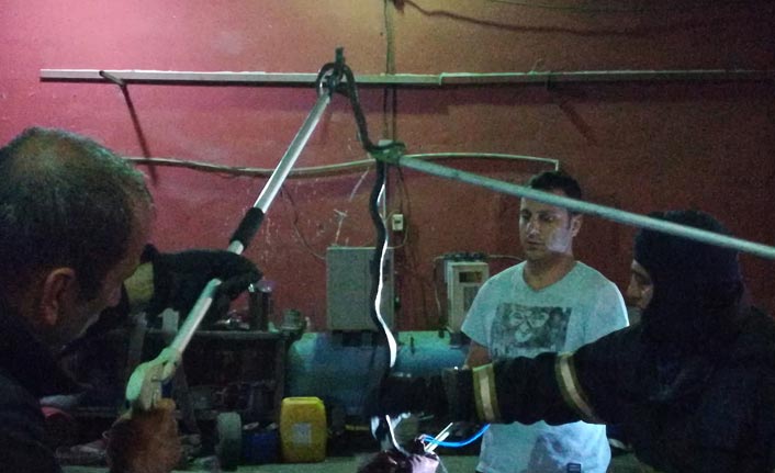 Otomobile giren yılan zor anlar yaşattı