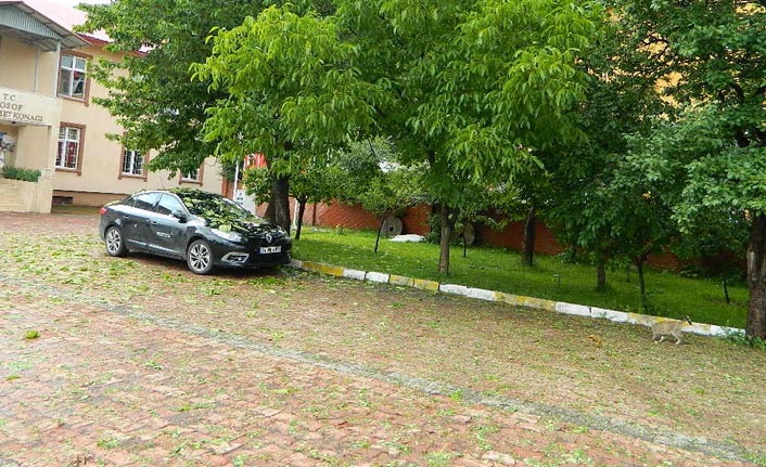 Ardahan doluya teslim!