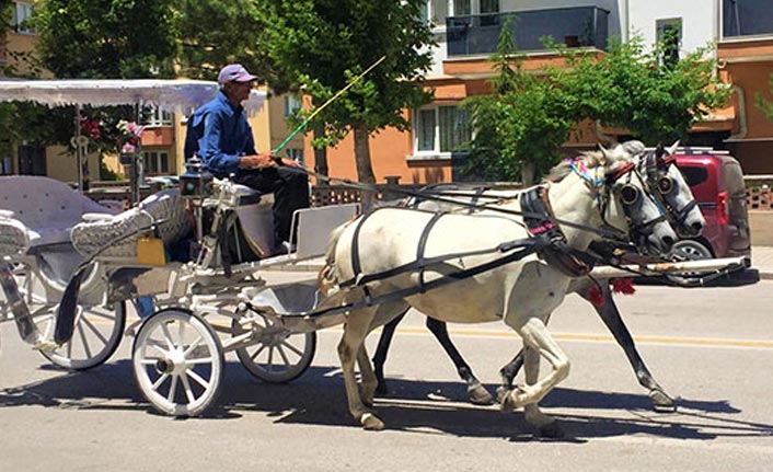 Faytonların çilesi bitmiyor!