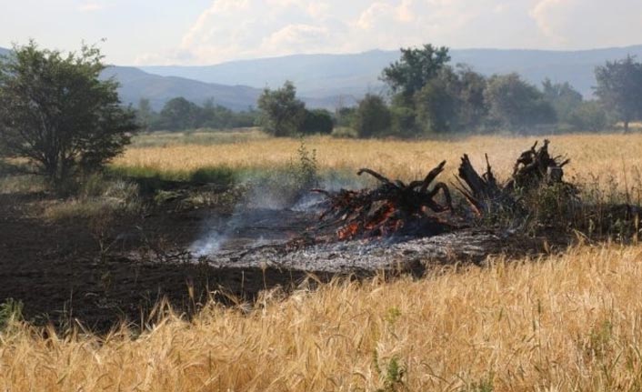 Erzincan'da tarlada çıkan yangın korkuttu!