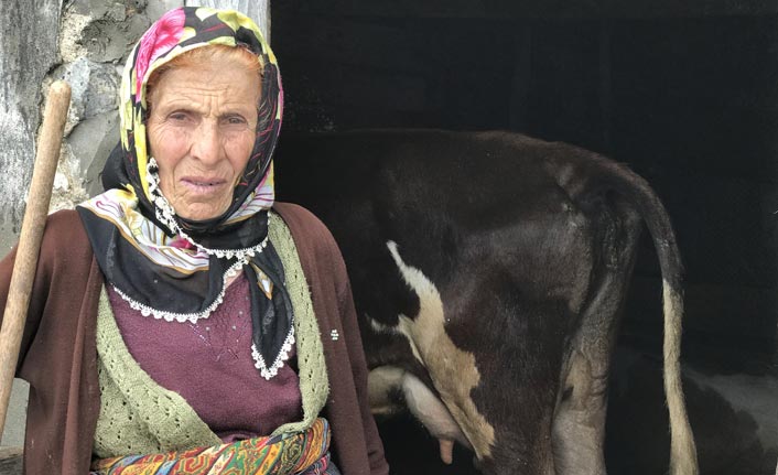 Trabzon'da korkutan olay! Peş peşe öldüler...