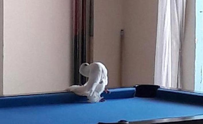 Otelin lobisinde bulundu, korumaya alındı!