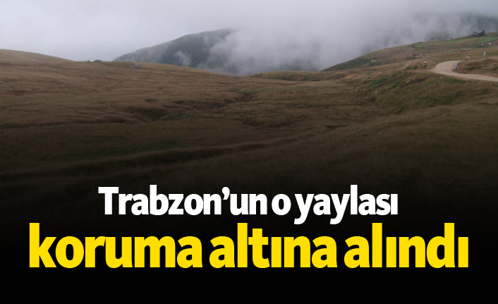 Trabzon’un o yaylası koruma altına alındı