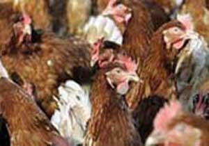 Bu habere söylenecek söz yok!