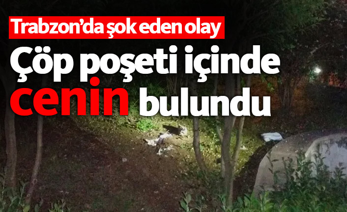 Trabzon'da çöp poşeti içinde cenin bulundu!
