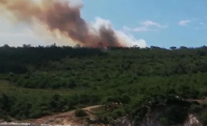 Heybeliada'da orman yangını çıktı