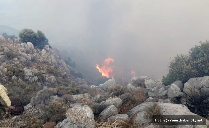 Orman yangını 3 saatte söndürüldü