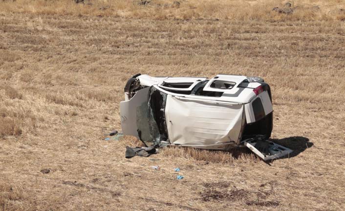 Köpeğe çarpmamak için direksiyonu kırınca...