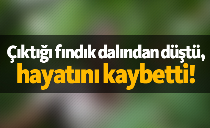 Ordu’da Fındık Dalından Düşen Vatandaş Kurtarılamadı: Acı Olay