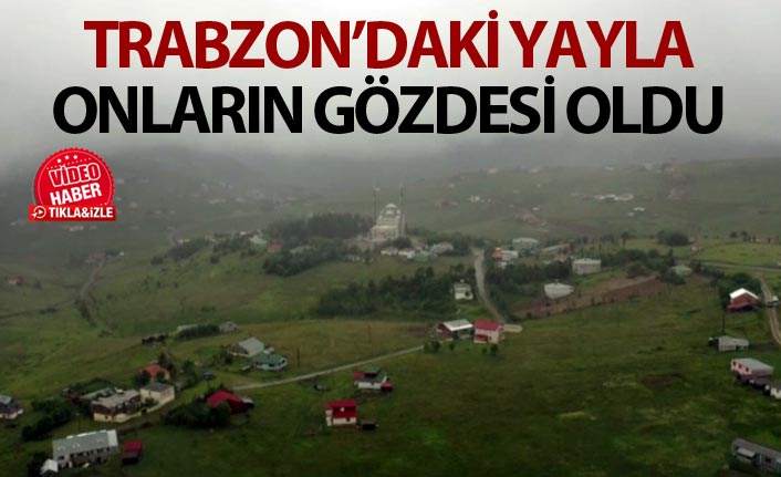 Haçka yaylası, doğa tutkunlarını ağırlıyor