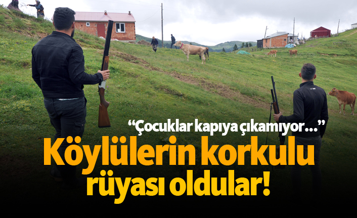 Köylülerin korkulu rüyası oldular!