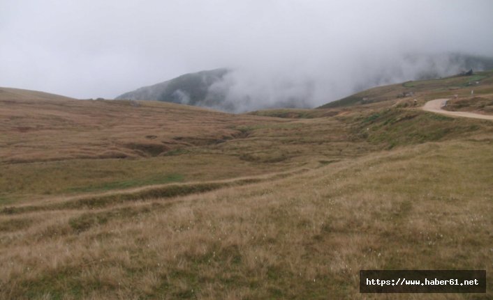 Trabzon'da o yayla kesin korunacak hassas bölge listesine alındı