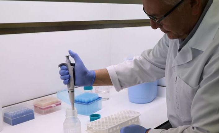 Patatesin DNA'sı incelenerek hastalıklara dayanıklı çeşitler geliştiriliyor