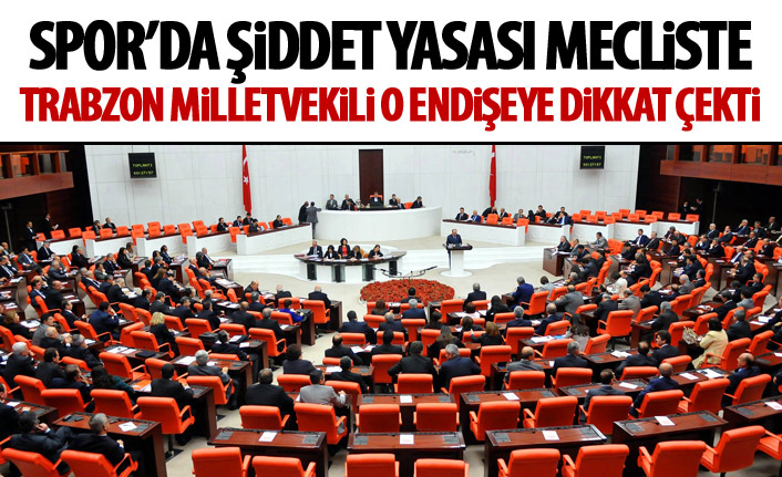 Sporda şiddete karşı kanun teklifi TBMM Genel Kurulunda