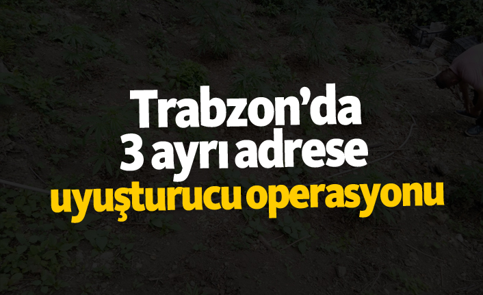Trabzon’da 3 ayrı adrese  uyuşturucu operasyonu