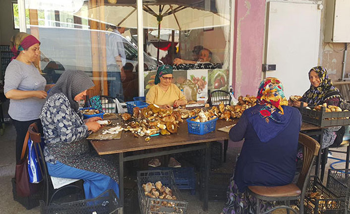 "Bunu satıp ev alıyorlar, 6-7 bin lira kazanan var"