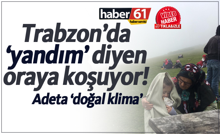 Trabzon'da 'yandım' diyen yaylaya kaçıyor!