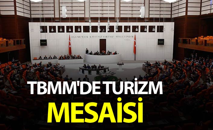 TBMM'de 'Turizm Tanıtım ve Geliştirme Ajansı' mesaisi