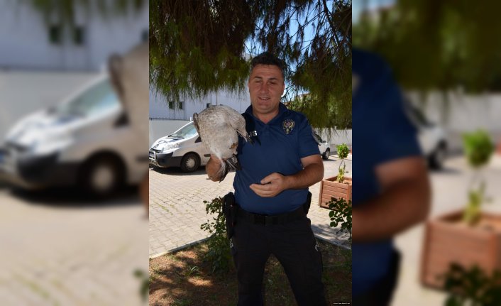 Polis memurundan örnek davranış
