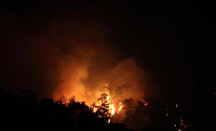 Muğla'da korkutan yangın kontrol altına alındı