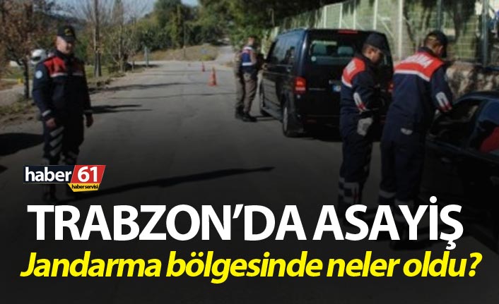 Trabzon’da Asayiş - Jandarma bölgesinde neler oldu?