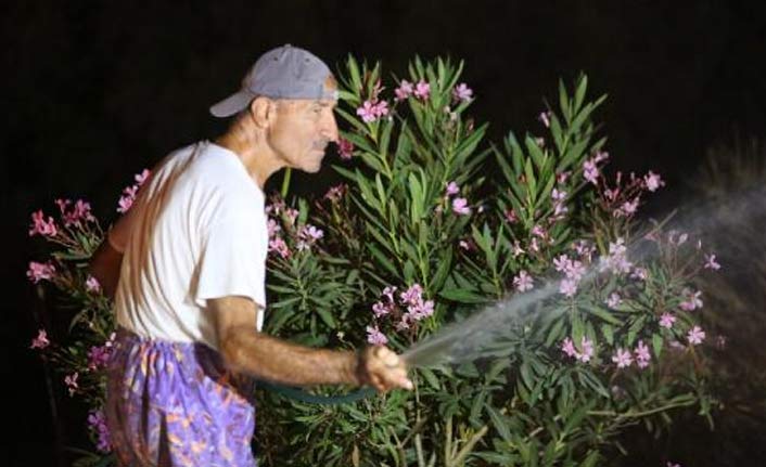 Bodrum'da ikinci yangında 10 hektar alan yandı