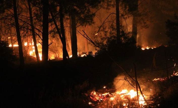 Fethiye’de orman yangını